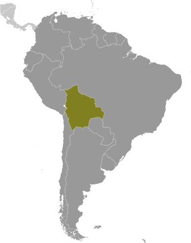 Bolivien Lage