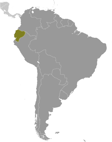 Ecuador Lage