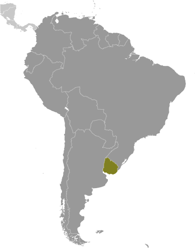 Uruguay Lage