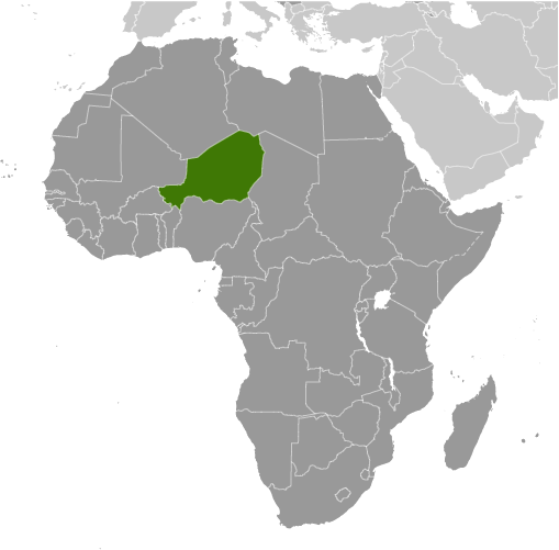 Niger Lage